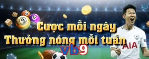 vb9